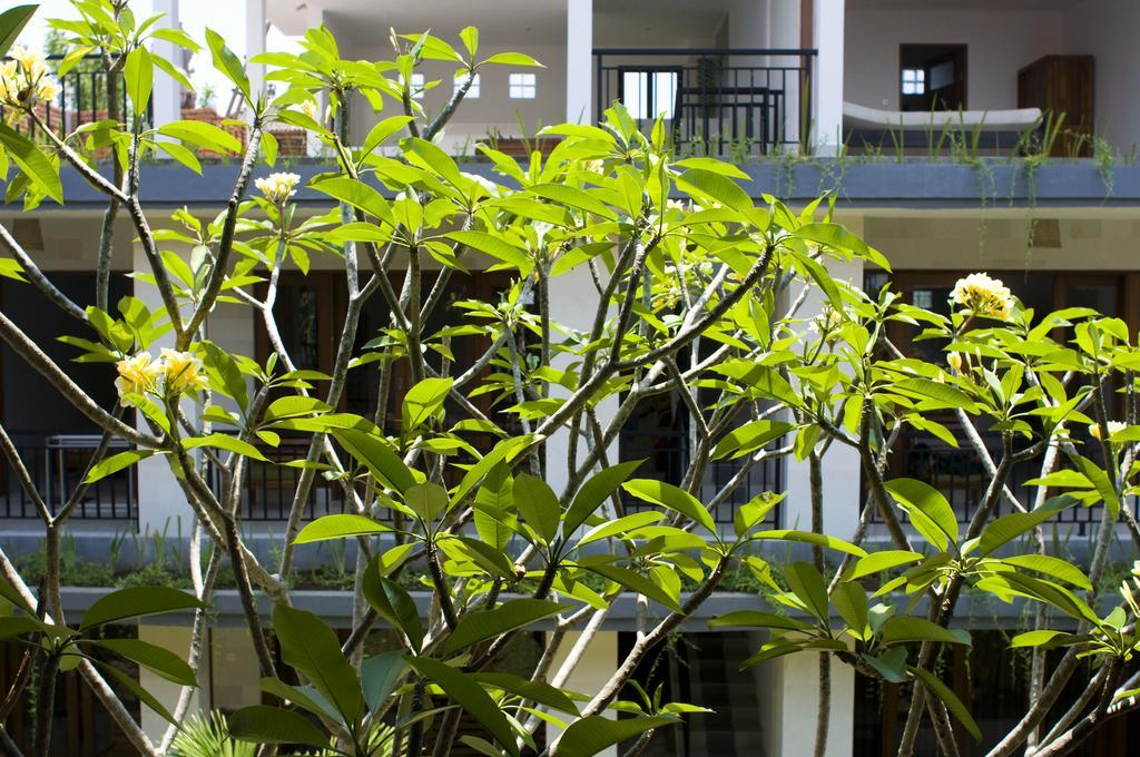 Nani House 2 Hotell Ubud Exteriör bild